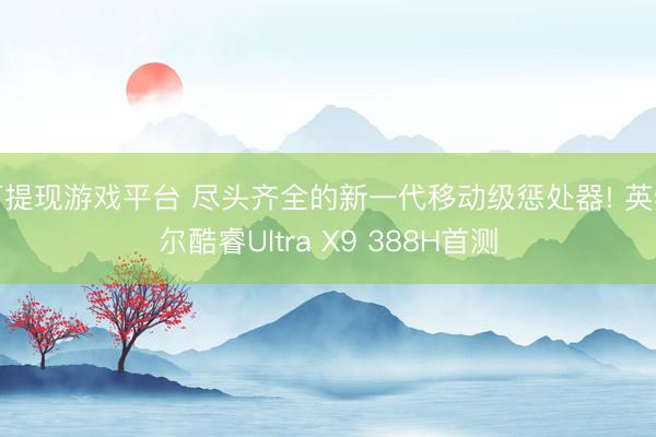 可提现游戏平台 尽头齐全的新一代移动级惩处器! 英特尔酷睿Ultra X9 388H首测