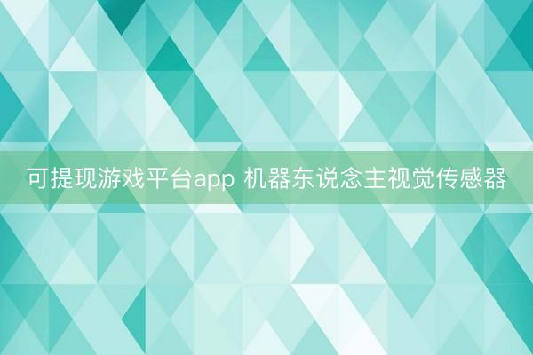 可提现游戏平台app 机器东说念主视觉传感器