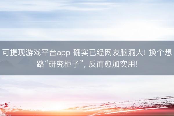 可提现游戏平台app 确实已经网友脑洞大! 换个想路“研究柜子”, 反而愈加实用!