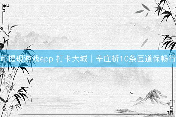 可提现游戏app 打卡大城｜辛庄桥10条匝道保畅行