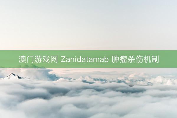 澳门游戏网 Zanidatamab 肿瘤杀伤机制