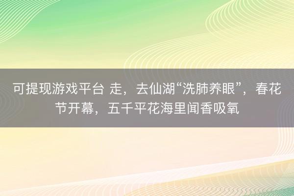 可提现游戏平台 走,去仙湖“洗肺养眼”,春花节开幕,五千平花海里闻香吸氧