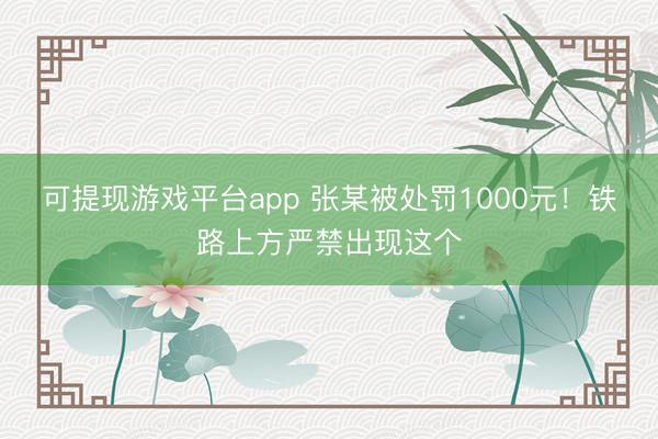可提现游戏平台app 张某被处罚1000元！铁路上方严禁出现这个