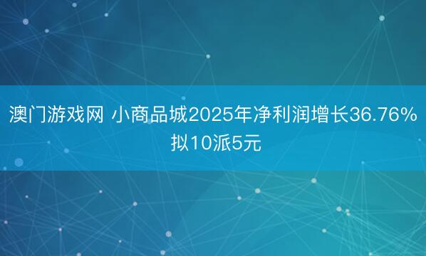 澳门游戏网 小商品城2025年净利润增长36.76% 拟10派5元
