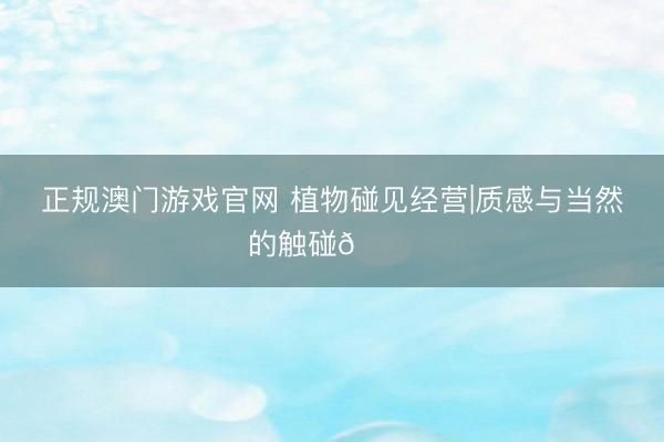 正规澳门游戏官网 植物碰见经营|质感与当然的触碰🍃
