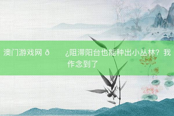 澳门游戏网 🌿阻滞阳台也能种出小丛林？我作念到了‼️