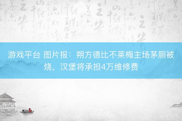 游戏平台 图片报：朔方德比不莱梅主场茅厕被烧，汉堡将承担4万维修费