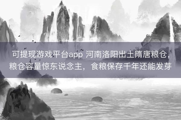 可提现游戏平台app 河南洛阳出土隋唐粮仓，粮仓容量惊东说念主，食粮保存千年还能发芽